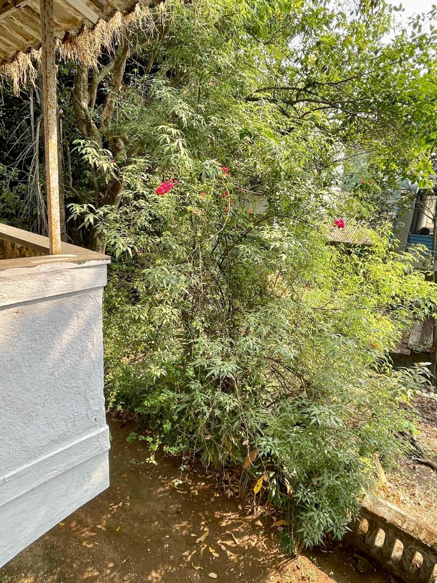 The Imperial Heritage II 2 Minutes From Station And Market II Deluxe Ac Rooms II Lonavala Exteriér fotografie
